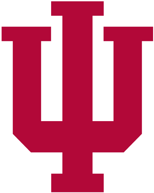 Indiana Hoosiers 2002-Pres Primary Logo iron on transfers for fabric